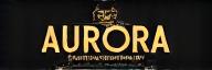 Aurora Detailing Works Logo